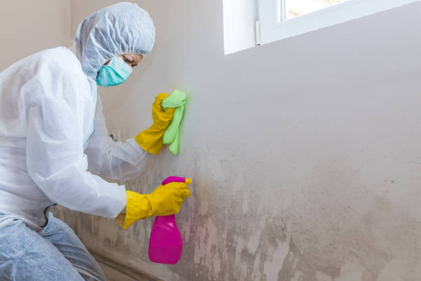 Best Real Estate Mold Inspection  in Waterloo, IA