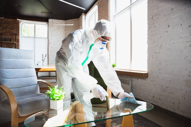 Mold Odor Removal Services in Waterloo, IA